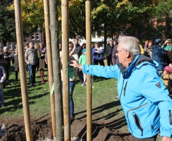 Kinderwünsche werden angebracht